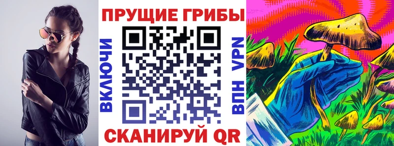 продажа наркотиков  Шали  Псилоцибиновые грибы ЛСД 